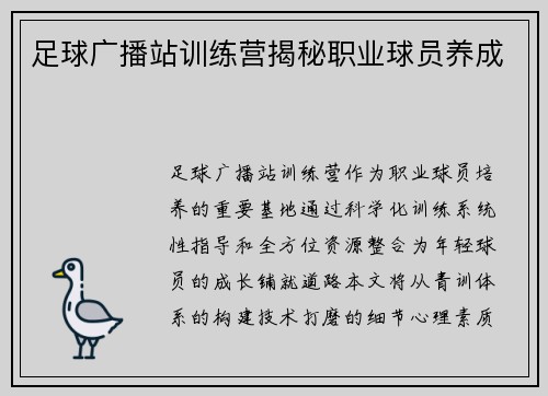 足球广播站训练营揭秘职业球员养成